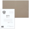 �����-������� "����" 300�/�2 BRAUBERG �����