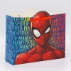 ����� ���������� 40*31*11�� "Spider-man" �������-����