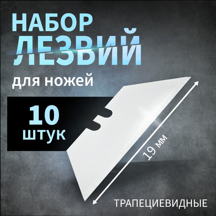 ������ ��� ����� 19�� ������ 10��