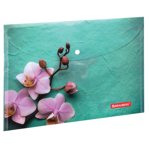�����-������� �� ����. �4 160��� BRAUBERG "FLOWER" ����.������
