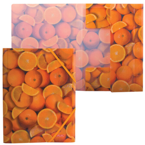 ����� �� �������� �4 500��� HERLITZ "��������" ����.������, �� 300 ������