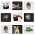 ������ ��� ���� DEFENDER Wild Animals, ������+������