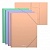 ����� �� �������� �4 600��� ErichKrause� "Matt Pastel Bloom" �������